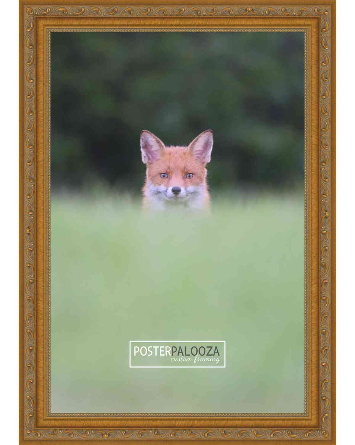 Traditional Antique Gold Movie Poster Frame (Style 1)