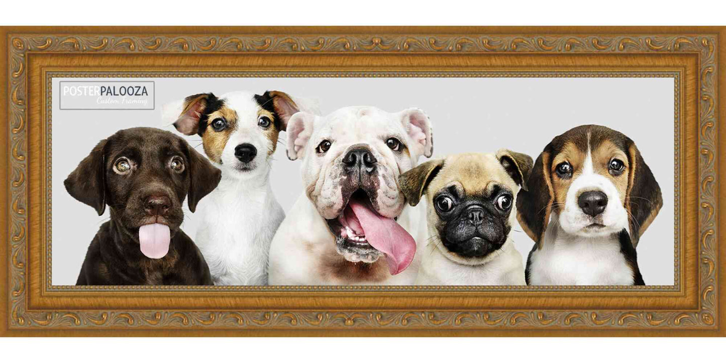 Traditional Antique Gold Movie Poster Frame (Style 1)