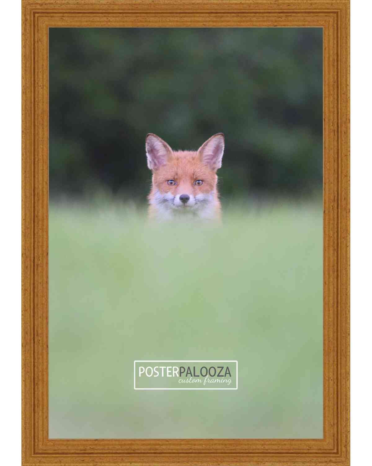 Traditional Antique Gold Movie Poster Frame (Style 2)