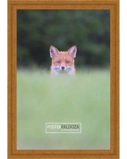 Traditional Antique Gold Movie Poster Frame (Style 2)