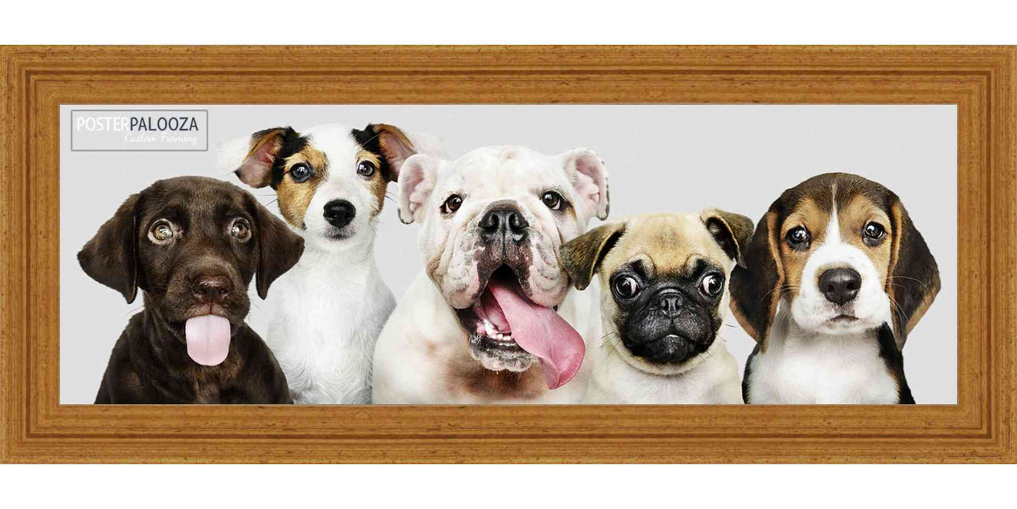 Traditional Antique Gold Movie Poster Frame (Style 2)