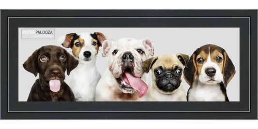 Contemporary Black Movie Poster Frame (Style 5)