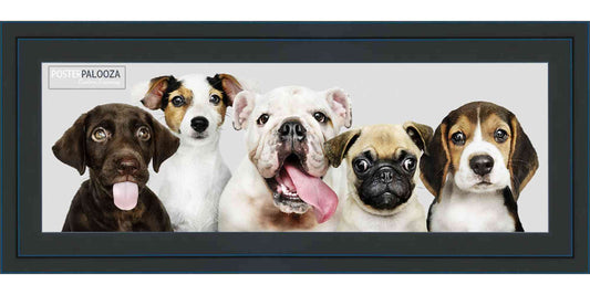 Contemporary Black Movie Poster Frame (Style 7)