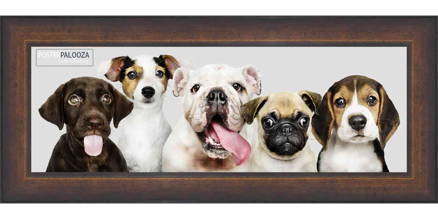 Contemporary Antique Gold Movie Poster Frame (Style 1)