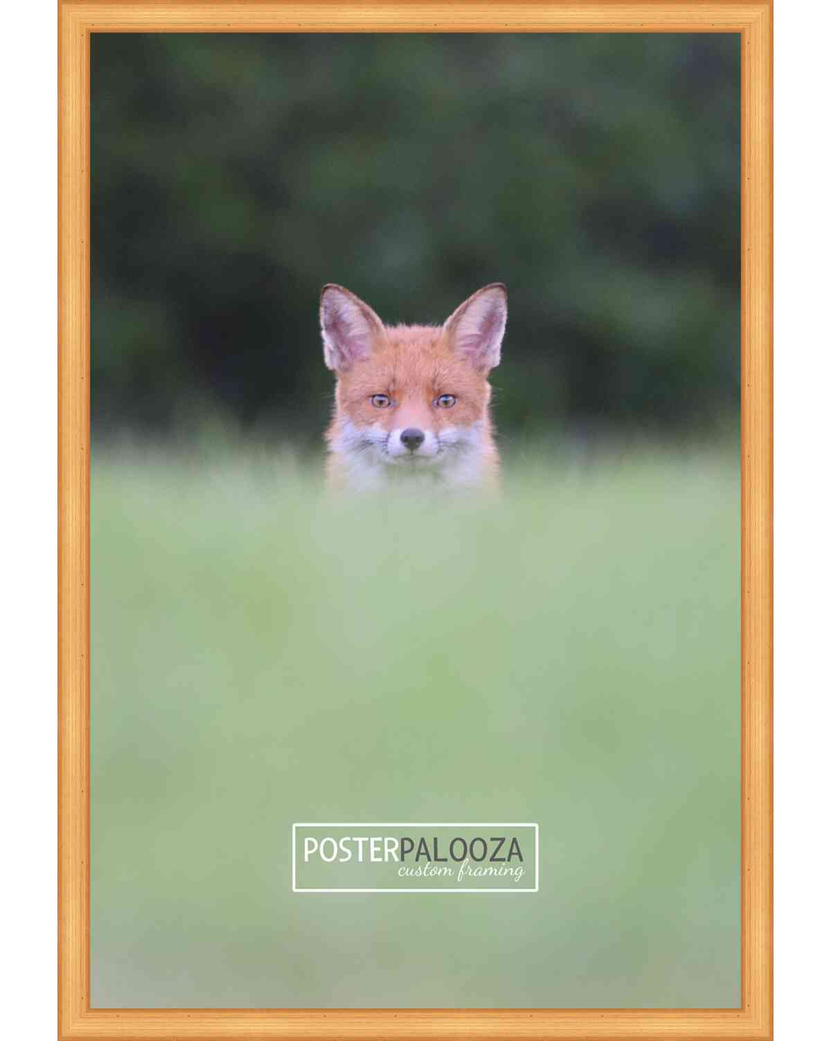 Traditional Antique Gold Movie Poster Frame (Style 6)