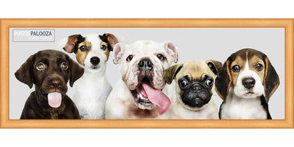 Traditional Antique Gold Movie Poster Frame (Style 6)