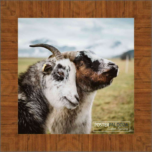 Contemporary Honey Pecan Movie Poster Frame (Style 2)