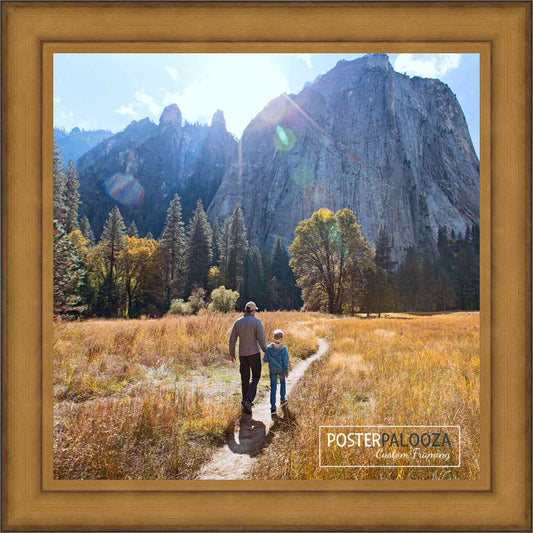 Traditional Antique Gold Movie Poster Frame (Style 8)