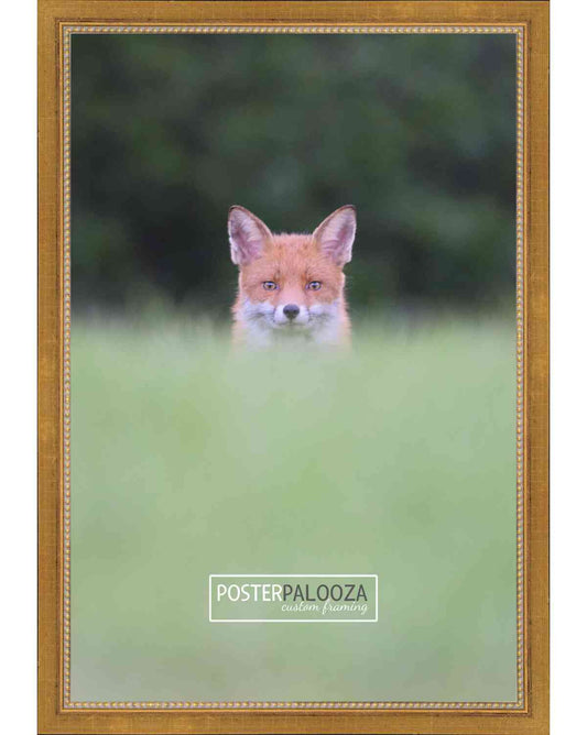 Contemporary Gold Movie Poster Frame (Style 1)