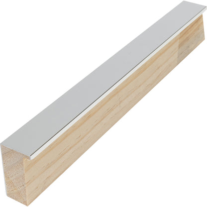Stainless Silver Double Magazine Frame with White Mat