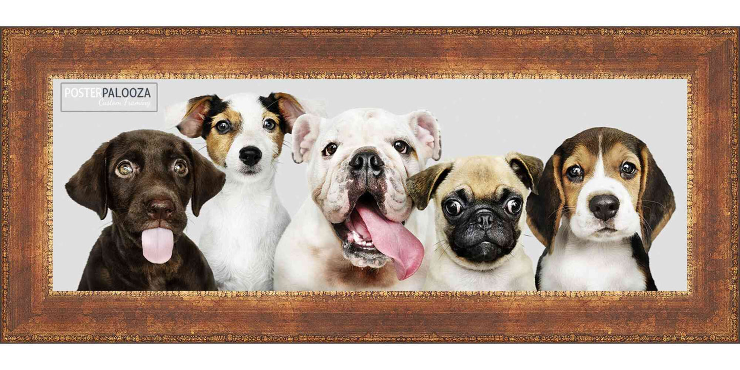 Distressed/Aged Antique Gold Movie Poster Frame (Style 1)
