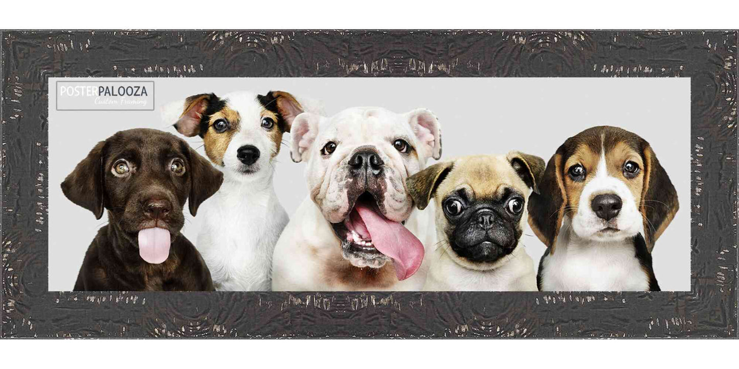 Shabby Chic / Farmhouse Black Movie Poster Frame