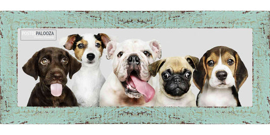 Shabby Chic / Farmhouse Green Movie Poster Frame