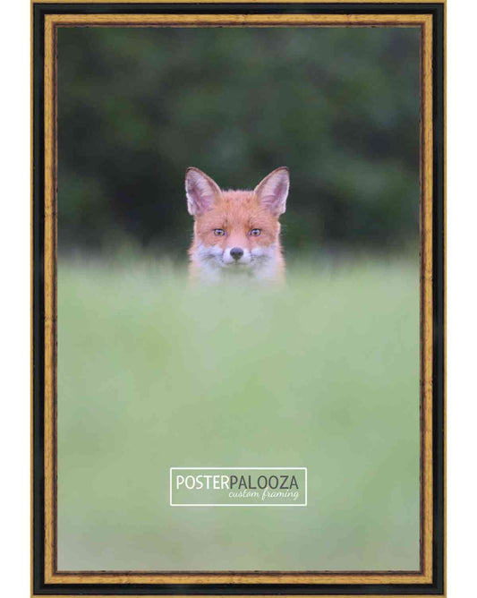 Traditional Antique Gold Movie Poster Frame (Style 14)