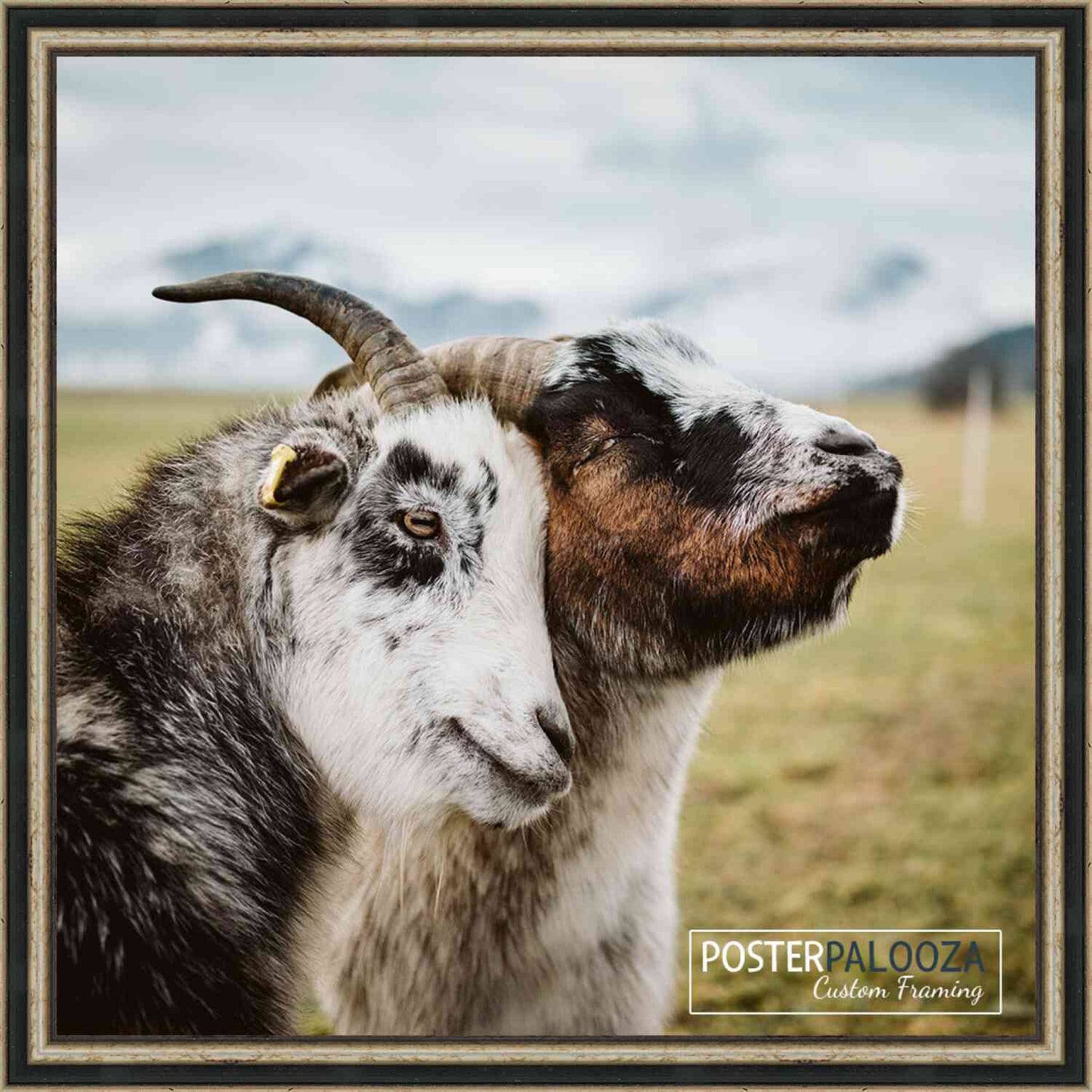 Traditional Antique Silver Movie Poster Frame (Style 11)