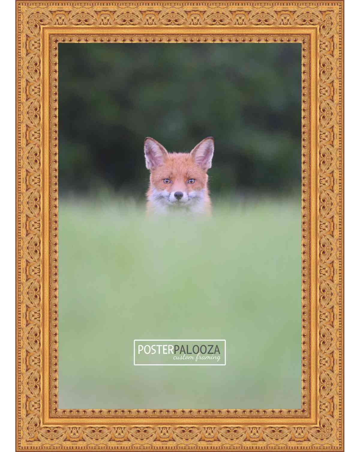 Ornate Gold Movie Poster Frame