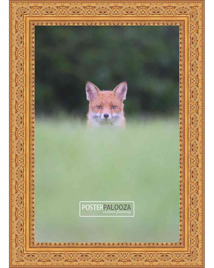 Ornate Gold Movie Poster Frame