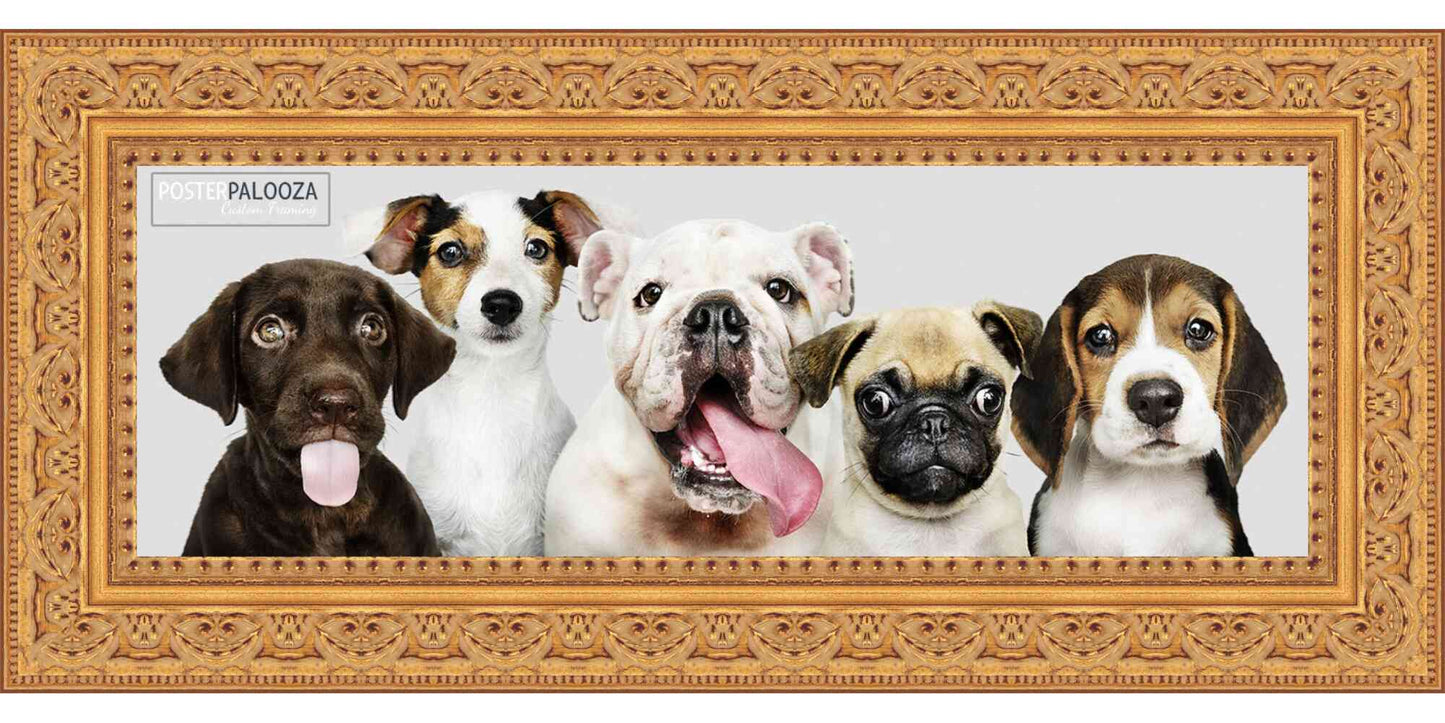 Ornate Gold Movie Poster Frame