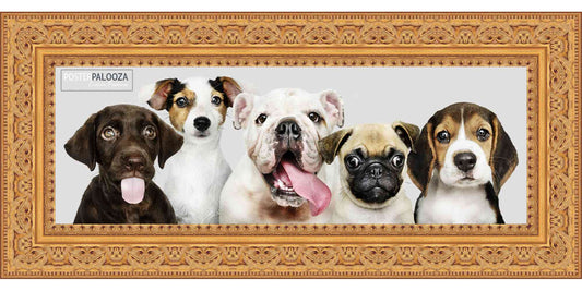 Ornate Gold Movie Poster Frame