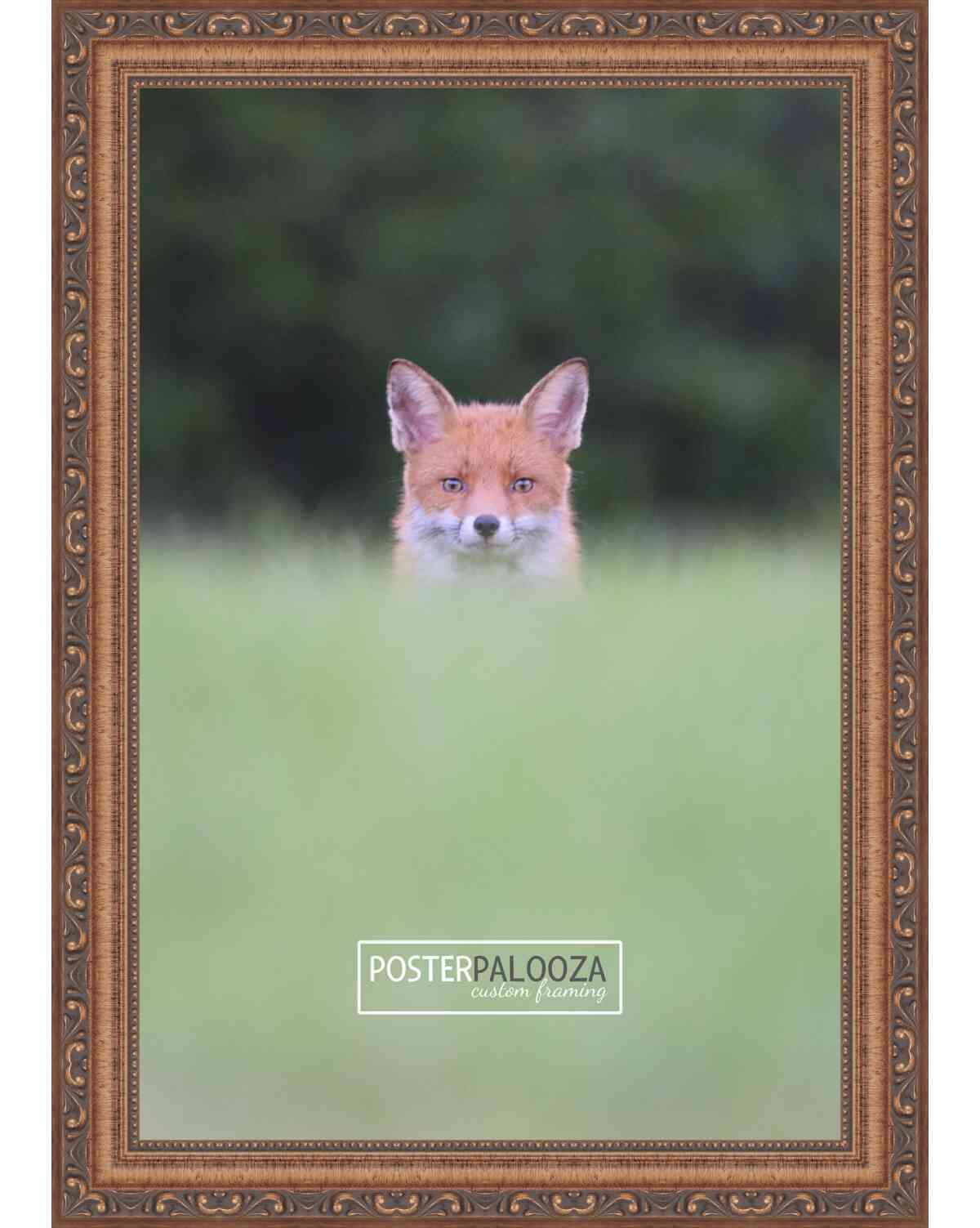 Frame with Mat - Antique Gold 11x14 Frame Wood Made to Display Print or Poster Measuring 8 x 10 Inches with Black Photo Mat