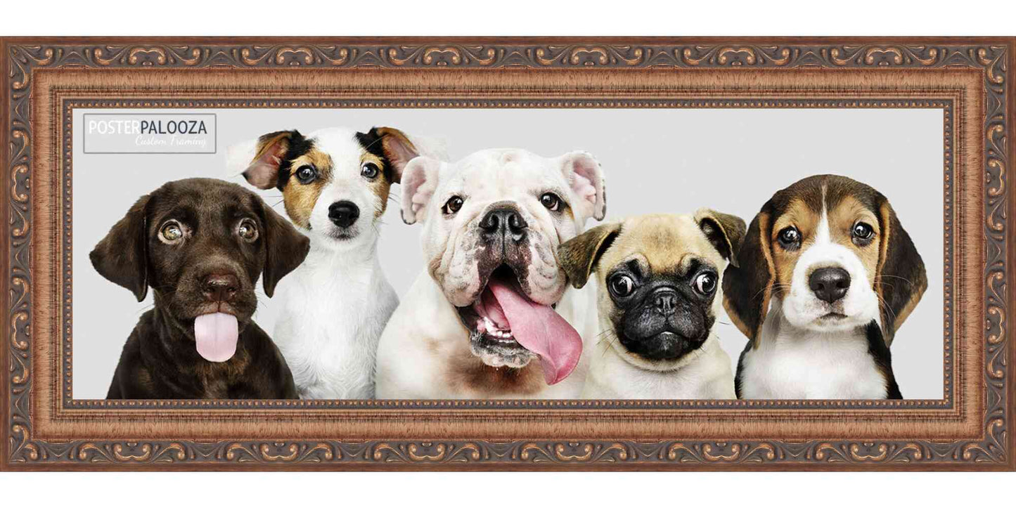 Frame with Mat - Antique Gold 11x14 Frame Wood Made to Display Print or Poster Measuring 8 x 10 Inches with Black Photo Mat