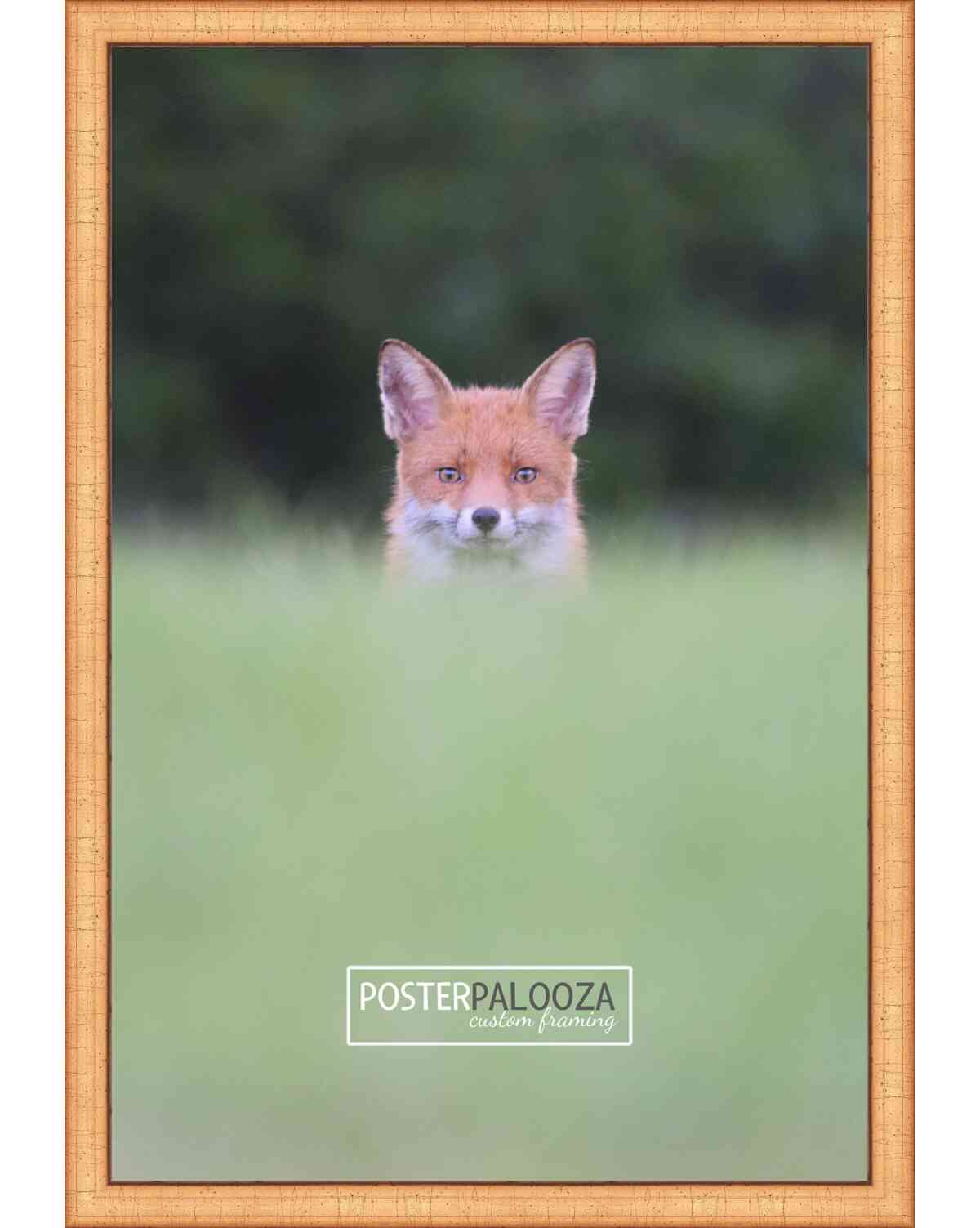 Contemporary Antique Gold Movie Poster Frame (Style 3)
