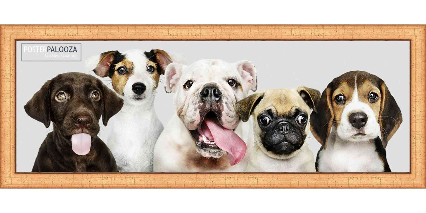 Contemporary Antique Gold Movie Poster Frame (Style 3)