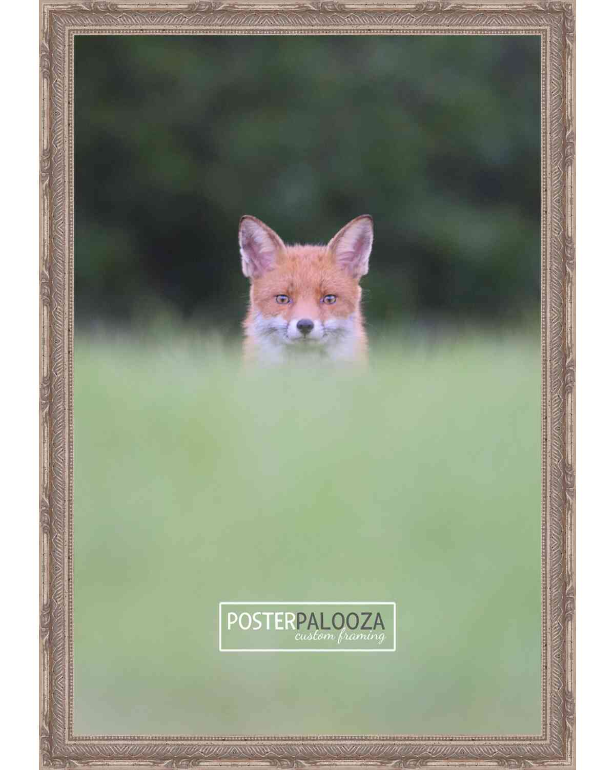 Ornate Silver Movie Poster Frame