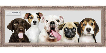 Ornate Silver Movie Poster Frame