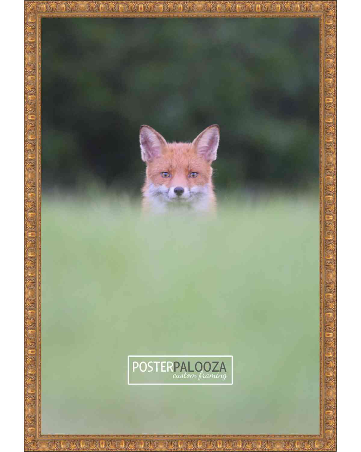 Ornate Antique Gold Movie Poster Frame (Style 2)