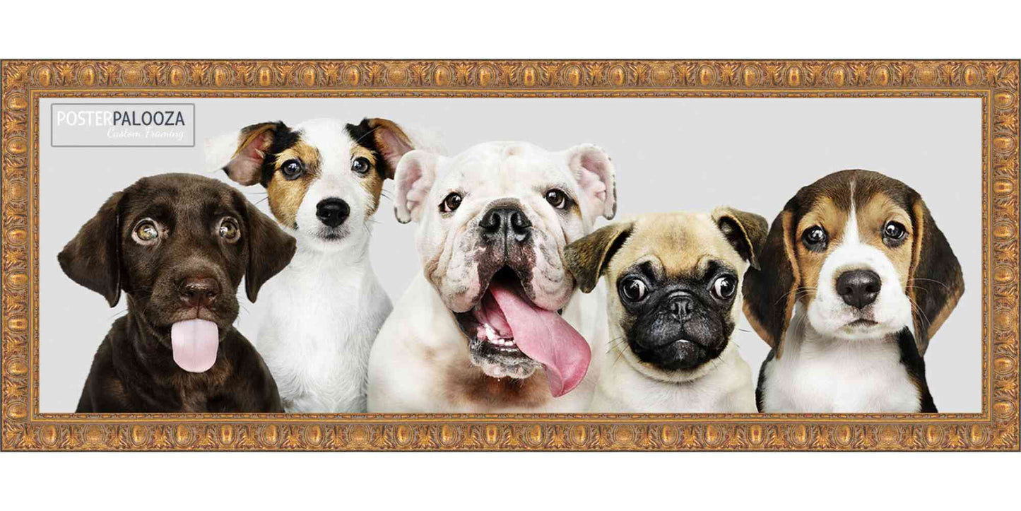 Ornate Antique Gold Movie Poster Frame (Style 2)
