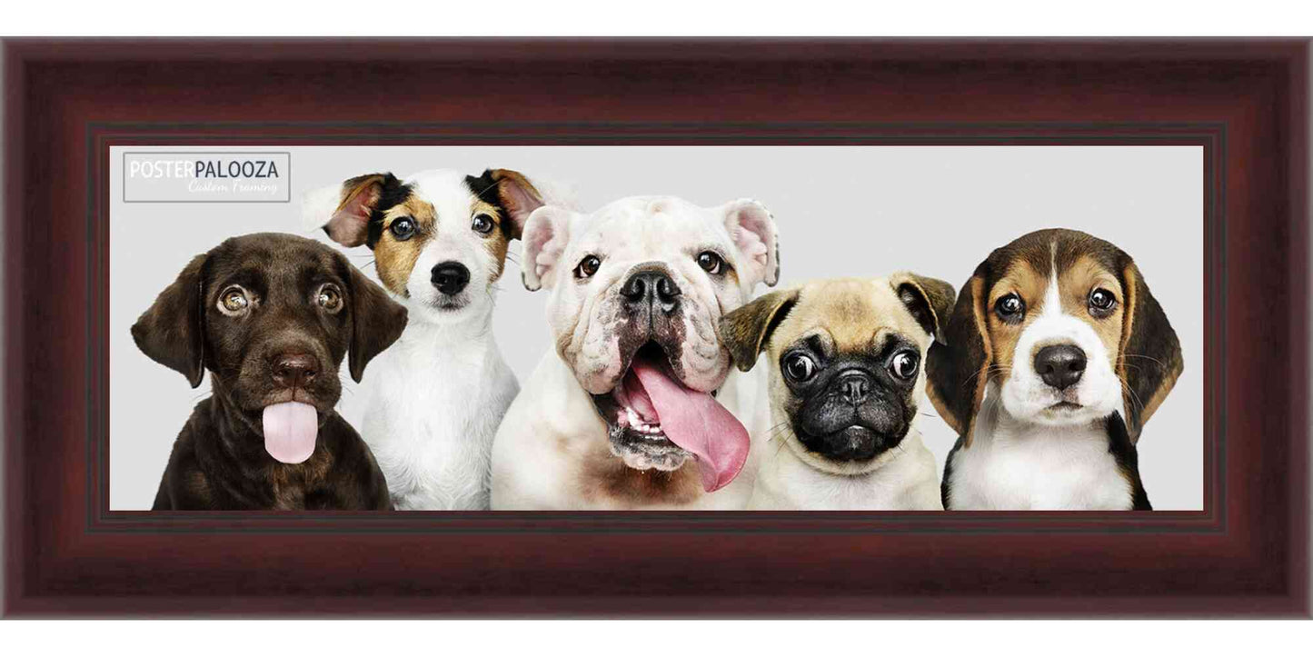Contemporary Mahogany Movie Poster Frame (Style 5)