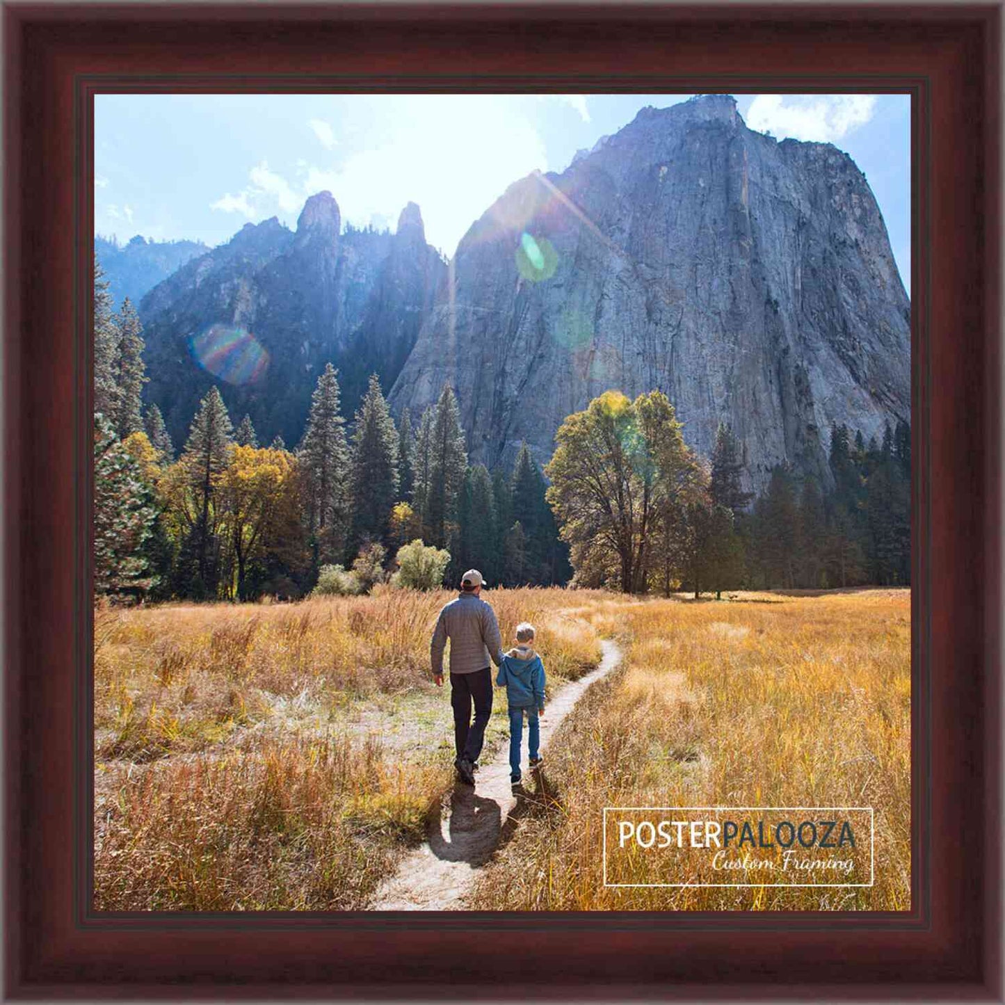 Contemporary Mahogany Movie Poster Frame (Style 5)