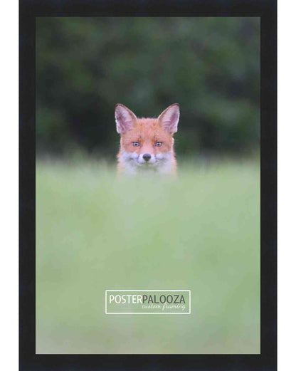 Comic Book Frame for 1 Comic Book