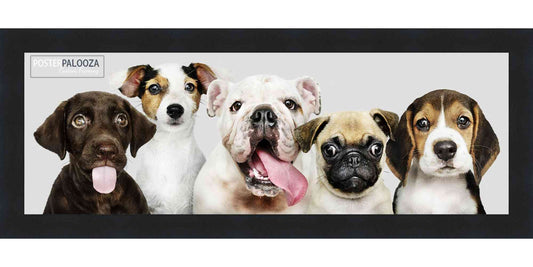 Black Matte contemporary wood picture frame