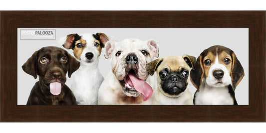 Traditional Mahogany Movie Poster Frame (Style 21)