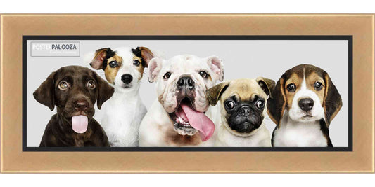 Contemporary Gold Movie Poster Frame (Style 2)