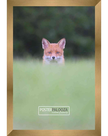 Bronze Frame with White Mat