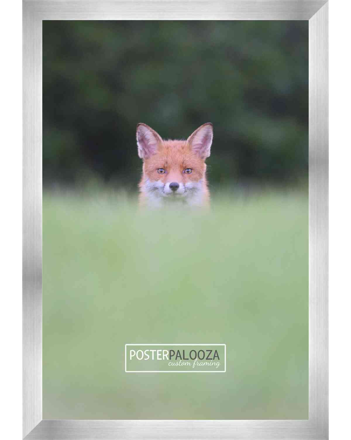 Silver Frame with Black Mat