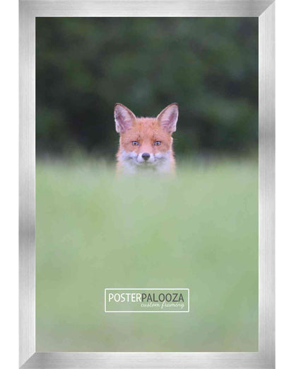 Silver Frame with Black Mat