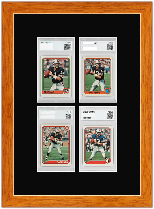 PSA AGS Graded Card Frame (Style 1)