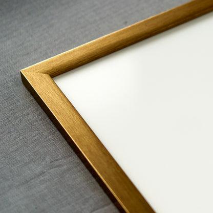 Bronze Frame with White Mat