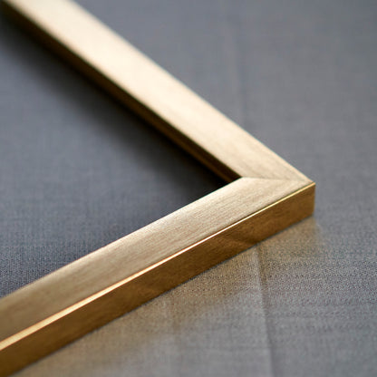 Bronze Frame with White Mat