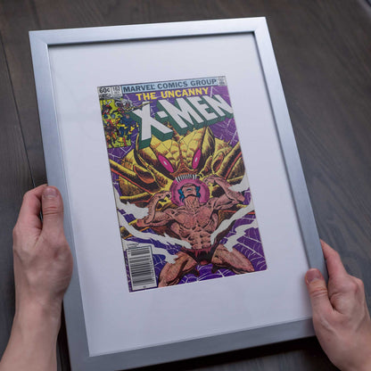 Silver Frame with Black Mat