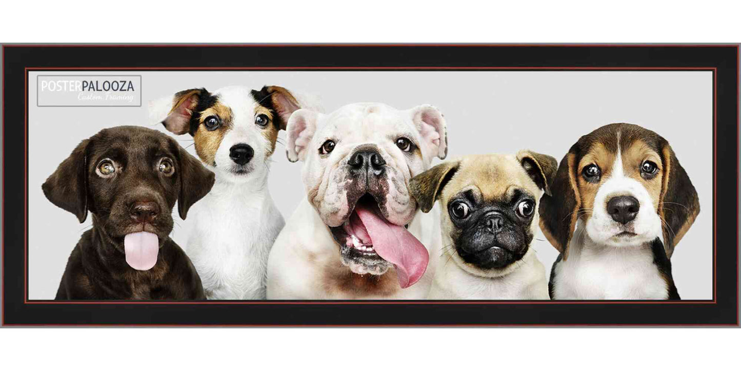 Contemporary Black Wood Square Picture Frame