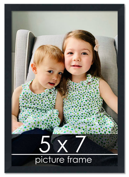 Contemporary Black Wood Picture Frame