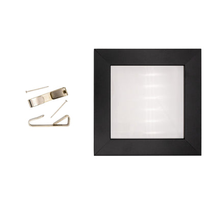 100 LB Picture Hooks